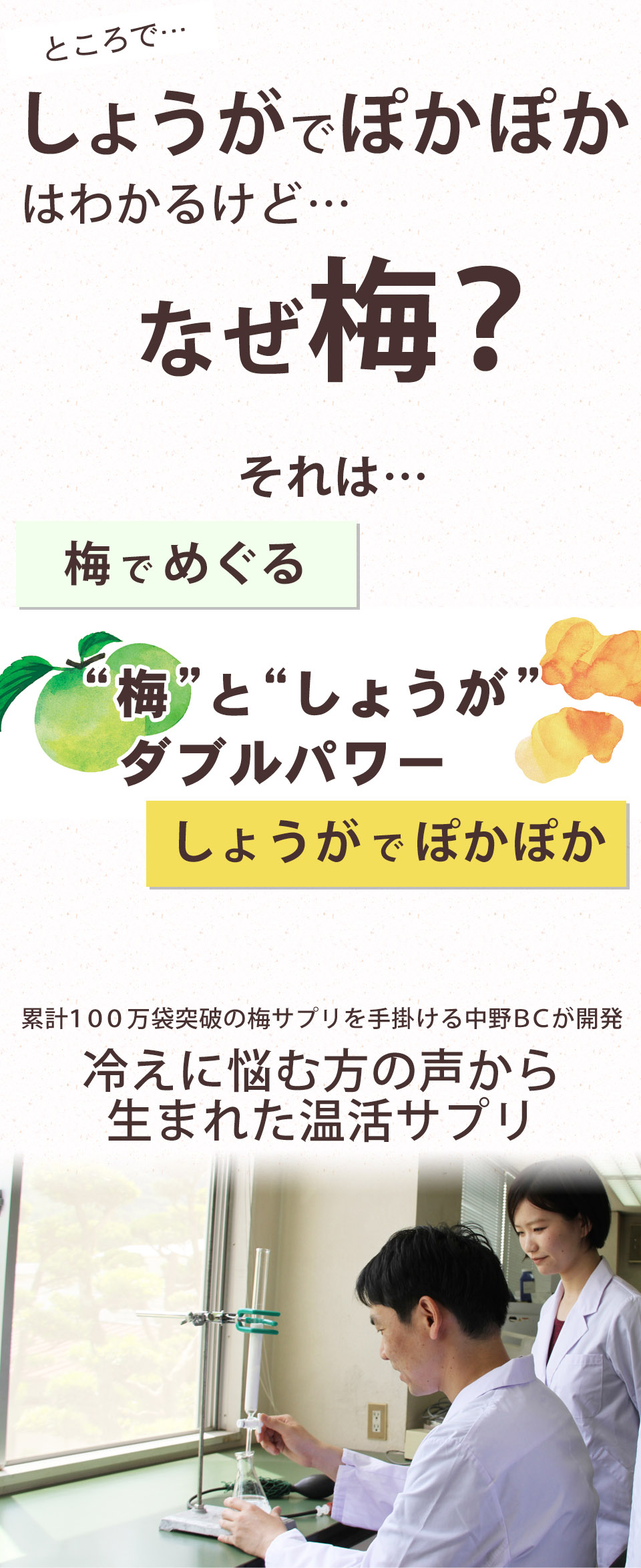 しょうがでポカポカは分かるけどなぜ梅?