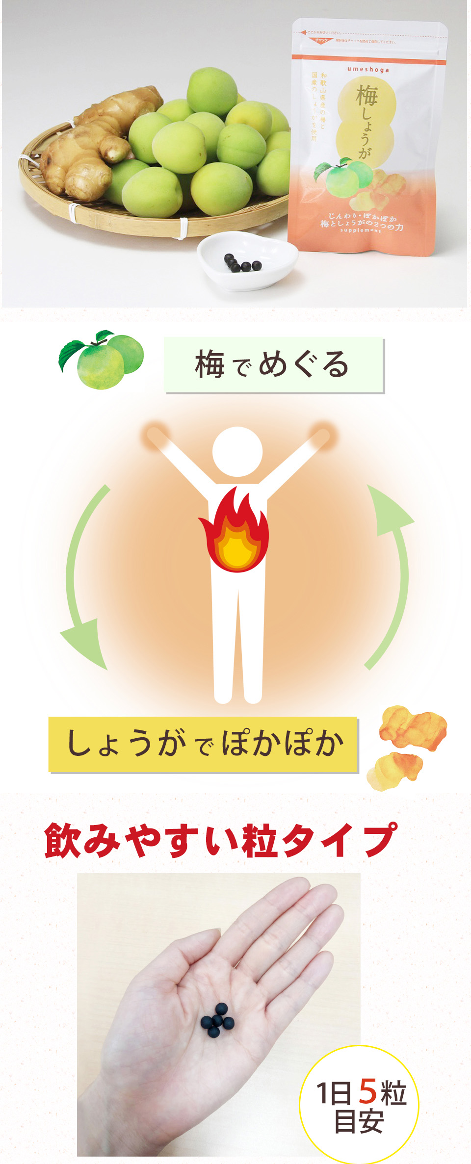 梅でめぐる、しょうがでぽかぽか